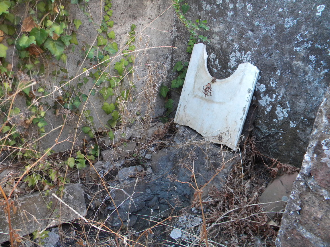 DSCN8020 .JPG